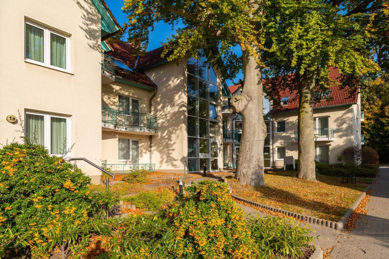 Ferienwohnung Sonnenblick Zempin Eksteriør billede